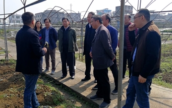 農業（yè）農村部八戒影院檢定所嚴端祥副所長一行到湖北恩施調研（yán）中草藥八戒影院（yào）使（shǐ）用情況