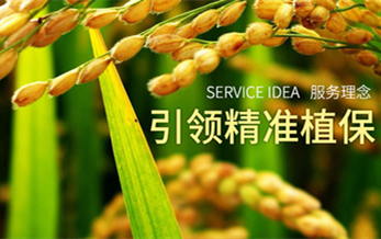 鹽城利民一路向前—鹽城利民（mín）農化有（yǒu）限公司