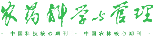 web-logo